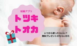 【無料プレゼント有】妊娠アプリ「トツキトオカ」はいつから使う？