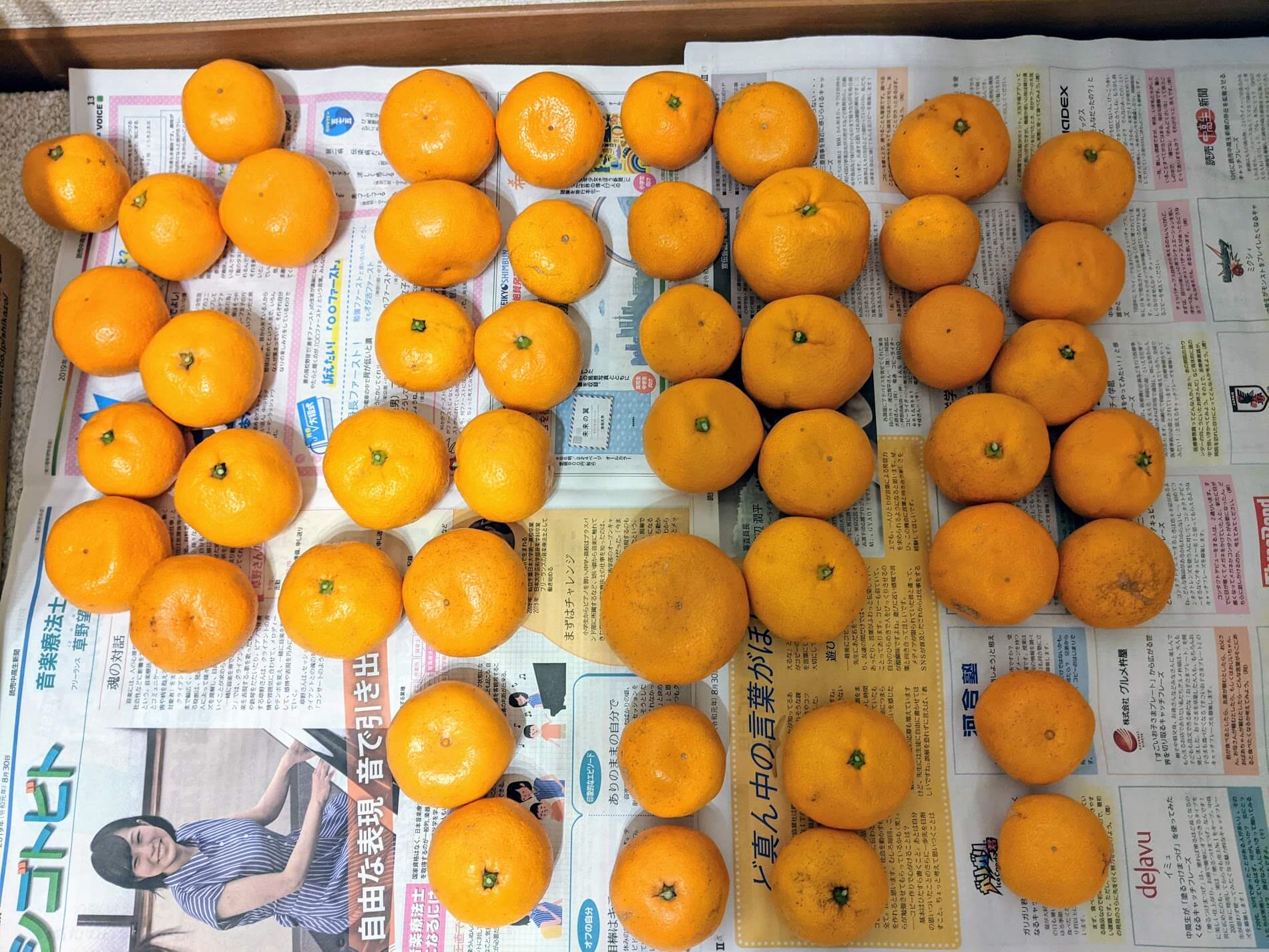 ふるさと納税 みかん 個数