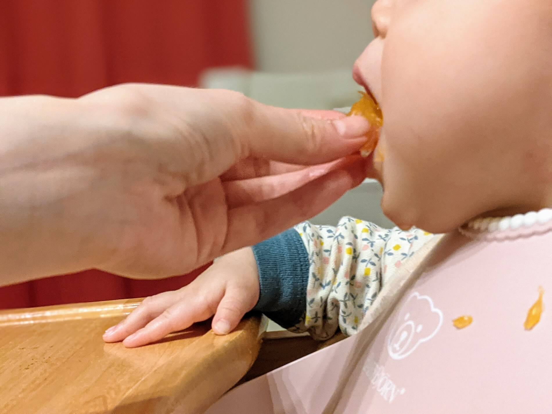 ふるさと納税 腐っている心配がない みかん