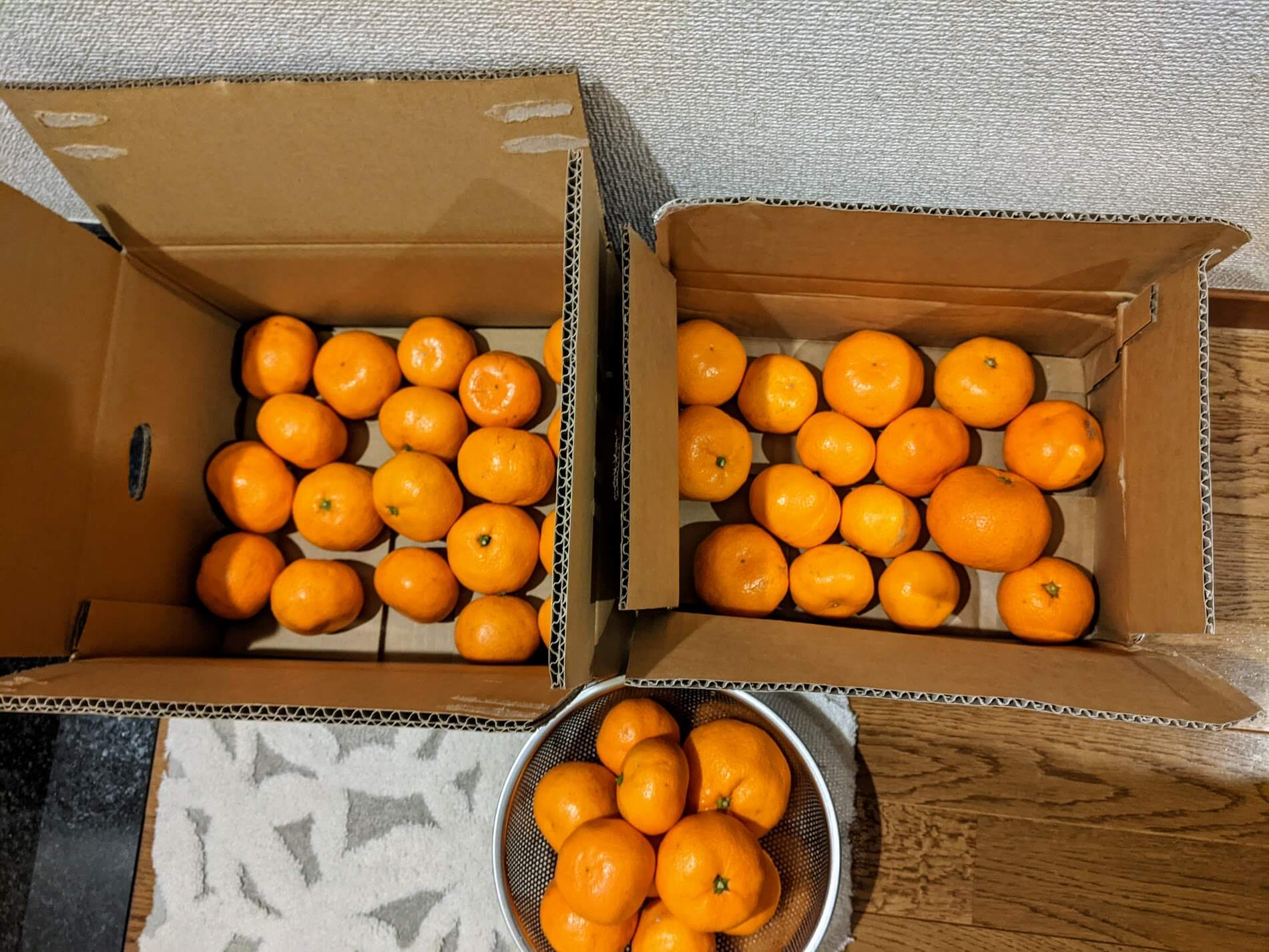 みかん 保存方法