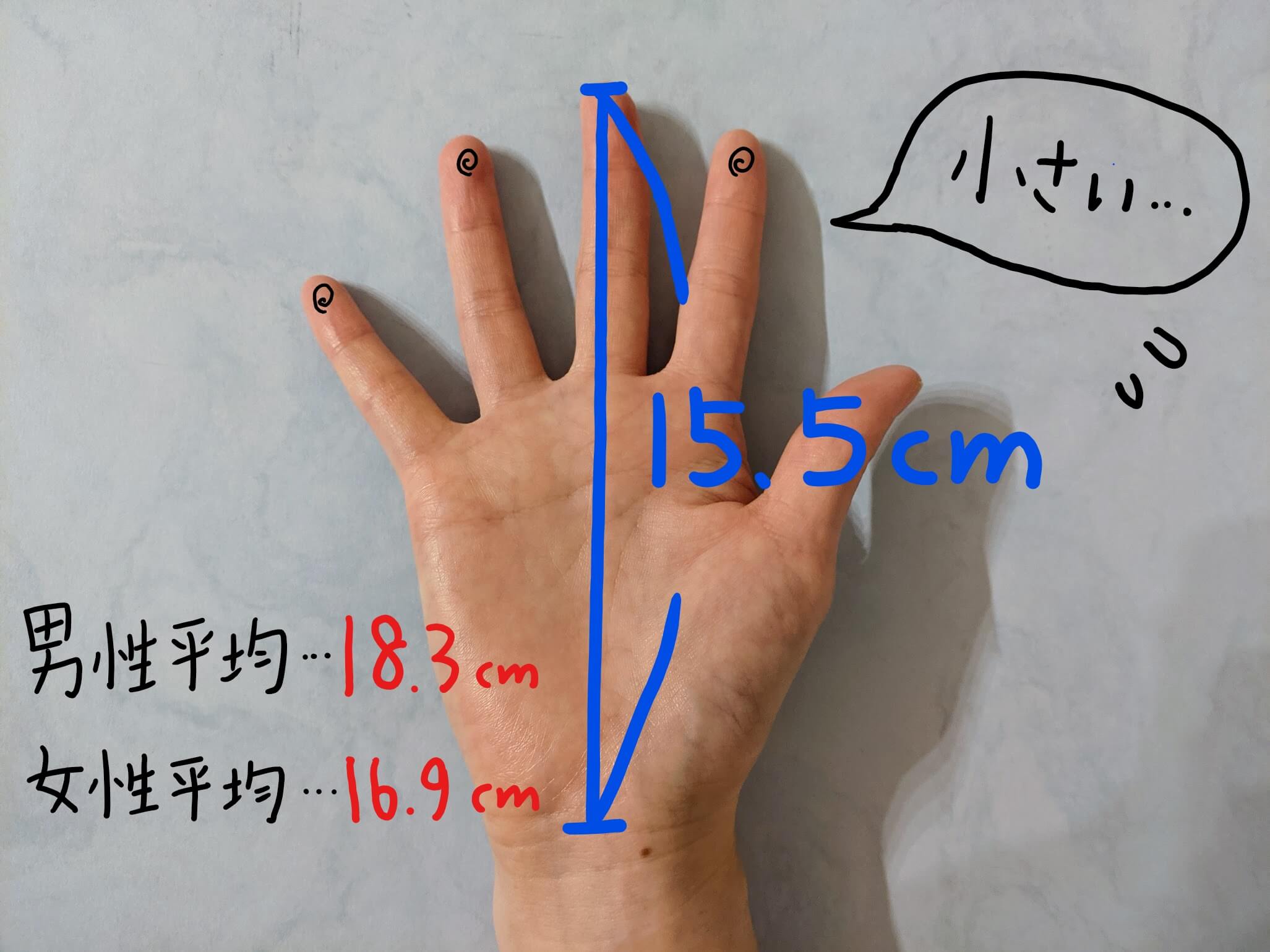 まなゆるの手の大きさは15.5㎝