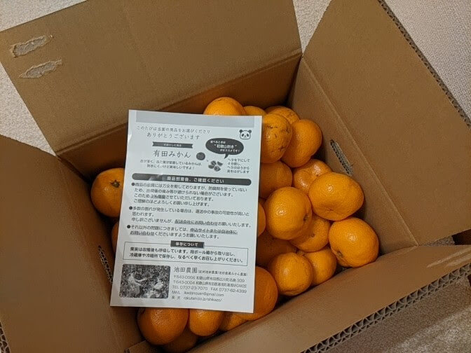 ふるさと納税 美浜町 有田みかん